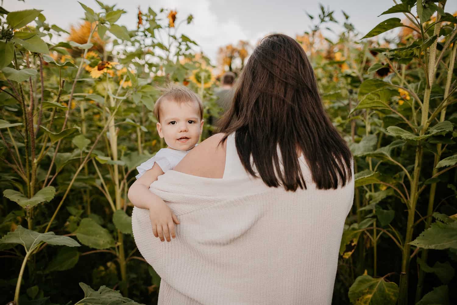 Arlington Family Photographer. Kastle H Photography LLC. Hanson Family. Ninety Farms Sunflower Photoshoot Arlington, WA