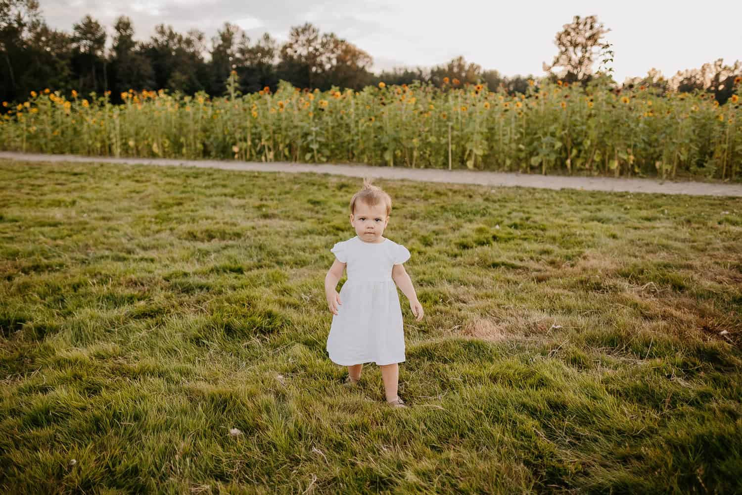 Arlington Family Photographer. Kastle H Photography LLC. Hanson Family. Ninety Farms Sunflower Photoshoot Arlington, WA