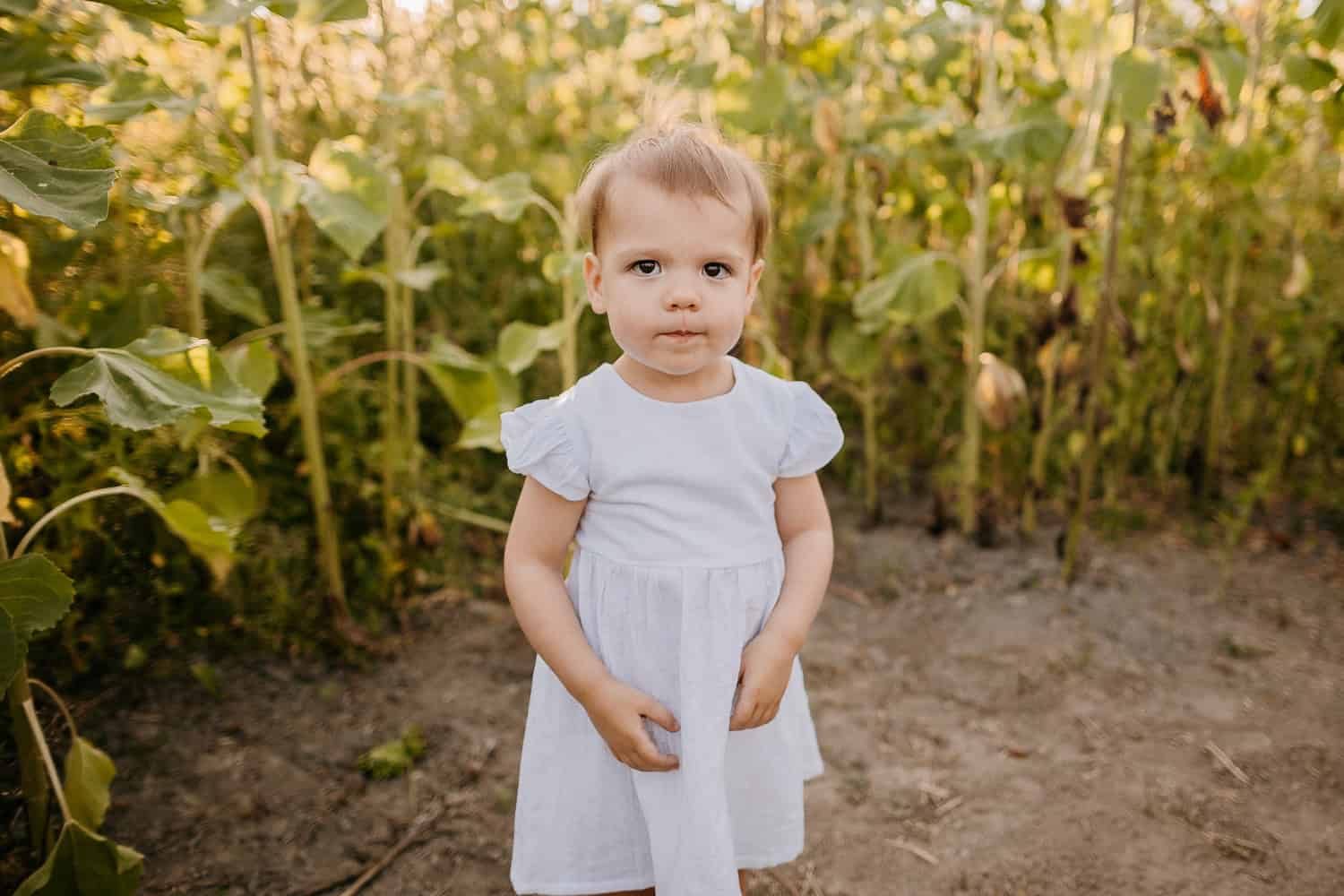 Arlington Family Photographer. Kastle H Photography LLC. Hanson Family. Ninety Farms Sunflower Photoshoot Arlington, WA